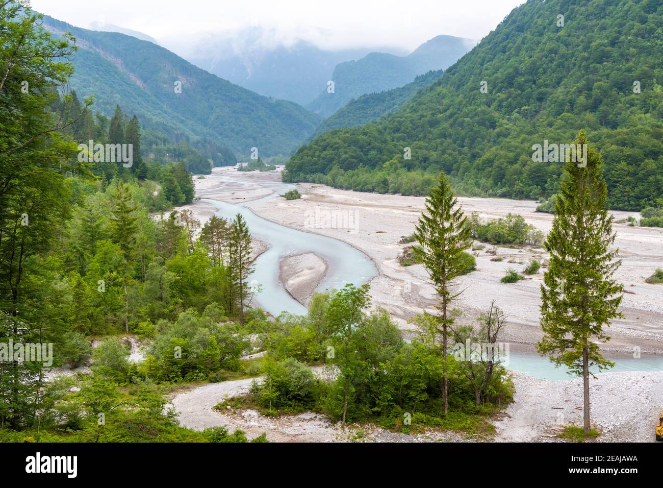 Fluss Tagliamento, Trentino-Südtirol, Italien Stockfoto