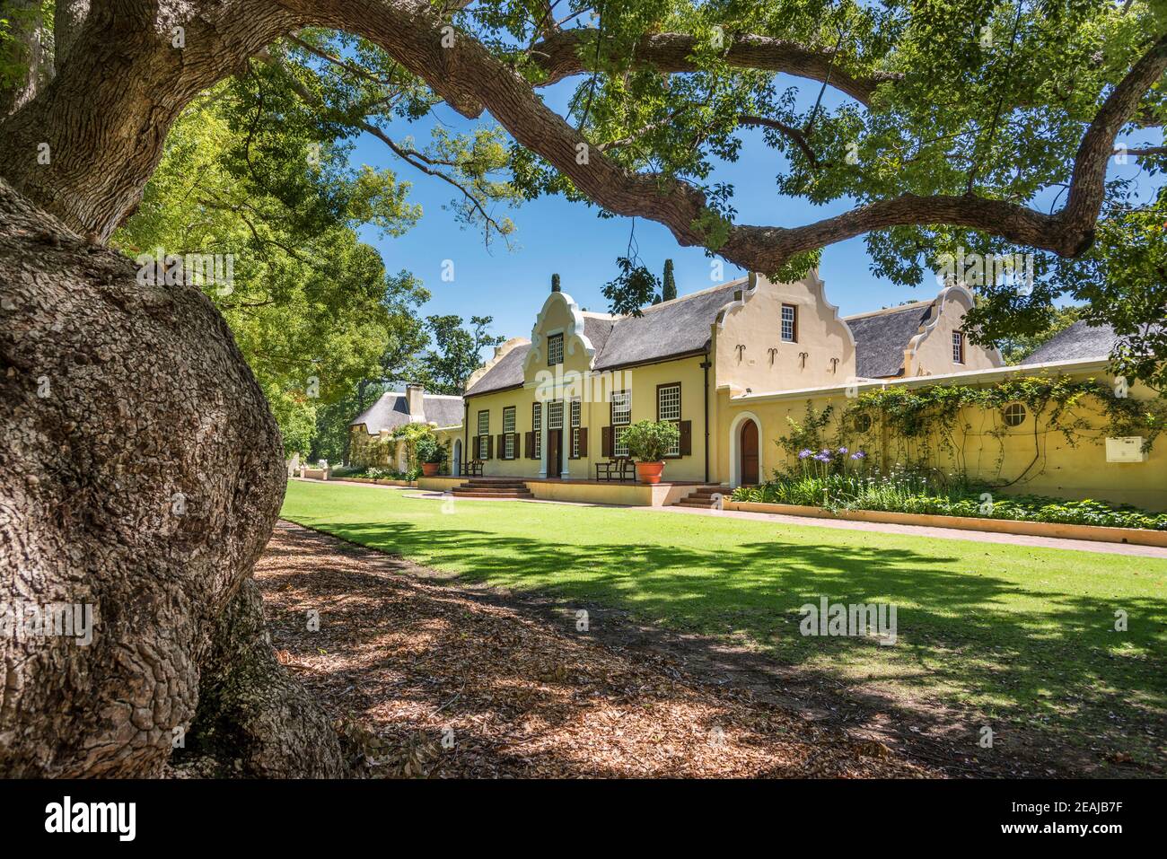 Somerset West, Südafrika - Januar 30. 2020 : das Weingut Vergelegen befindet sich in Somerset West in Südafrika. Ein Bistro und ein Restaurant sind ebenfalls vorhanden Stockfoto