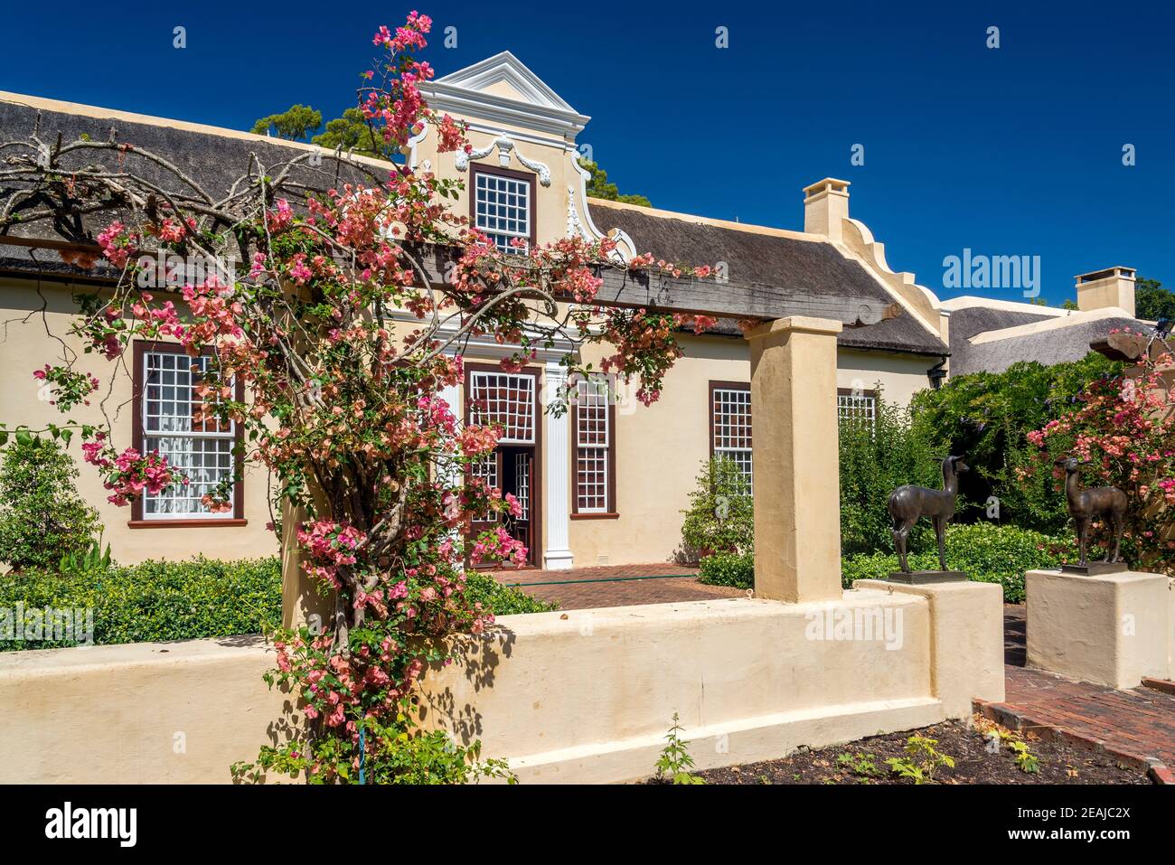Somerset West, Südafrika - Januar 30. 2020 : das Weingut Vergelegen befindet sich in Somerset West in Südafrika. Ein Bistro und ein Restaurant sind ebenfalls vorhanden Stockfoto