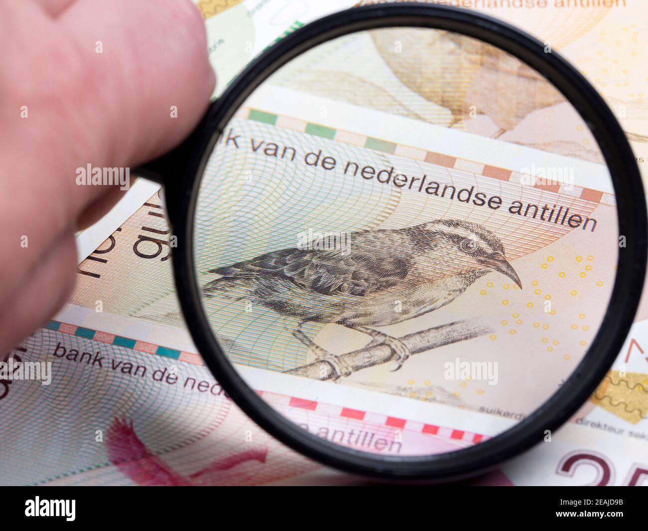 Niederländische Antillen Gulden in einer Lupe Stockfoto