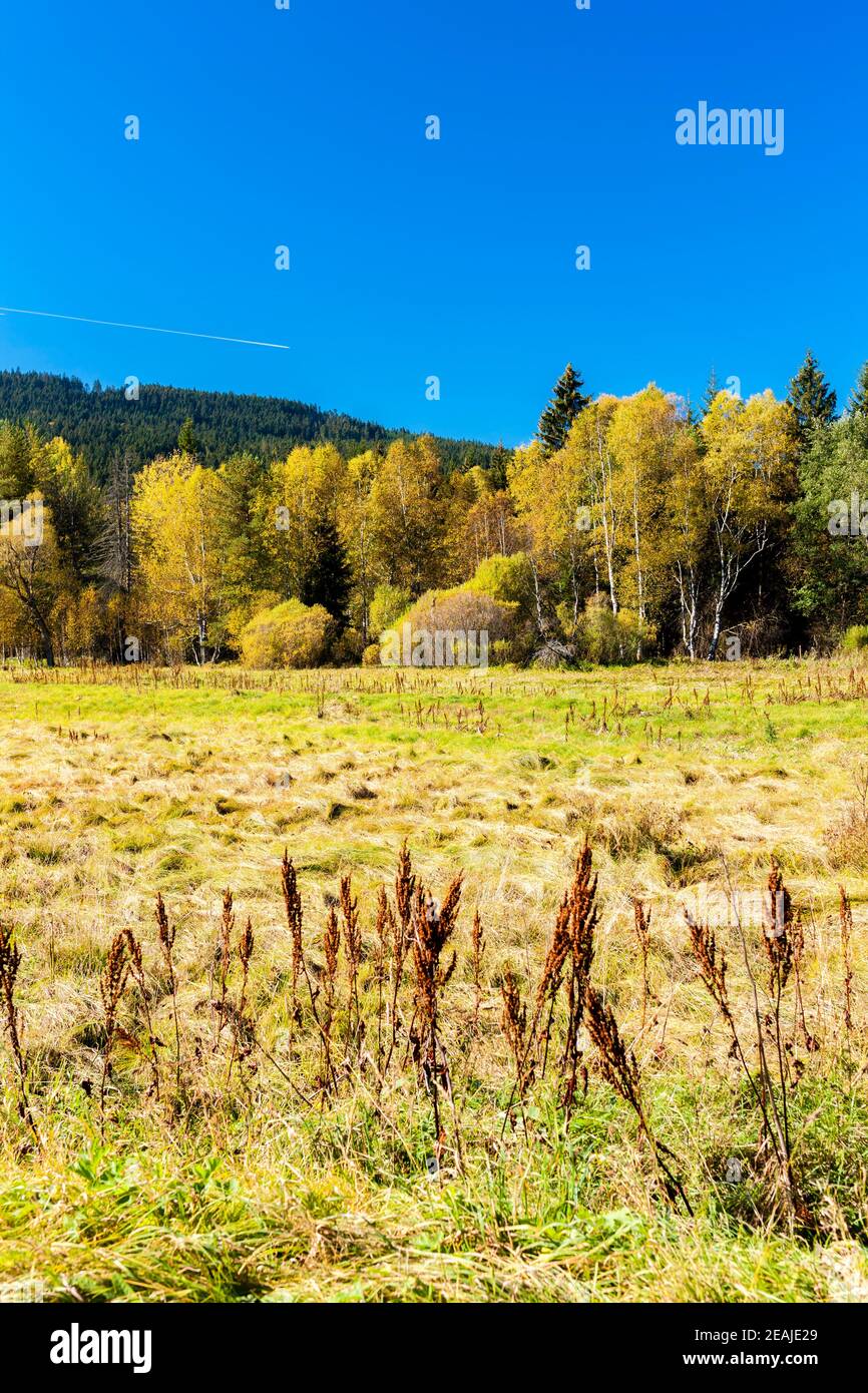 Landschaft in NP Sumava, Tschechische Republik Stockfoto