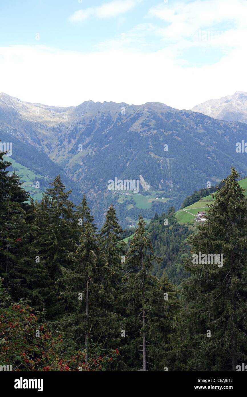 Wanderung auf dem verdinser Waalweg zur WaalerhÃ¼tte - Blick Ã¼ber das Passeiertal zu den Ã–tztaler Alpen Stockfoto