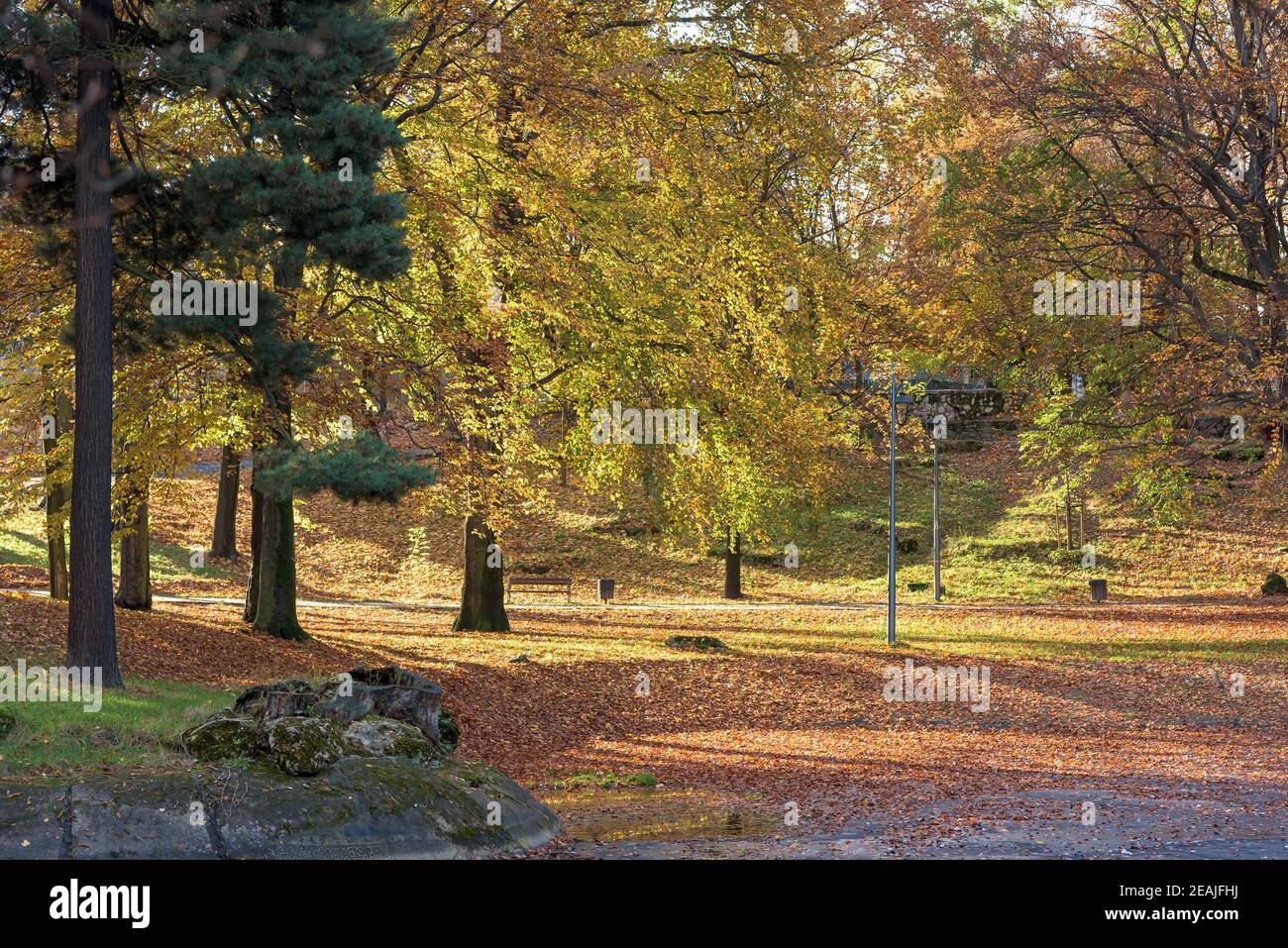 Farbenfroher sonniger Herbst in einem Park Stockfoto