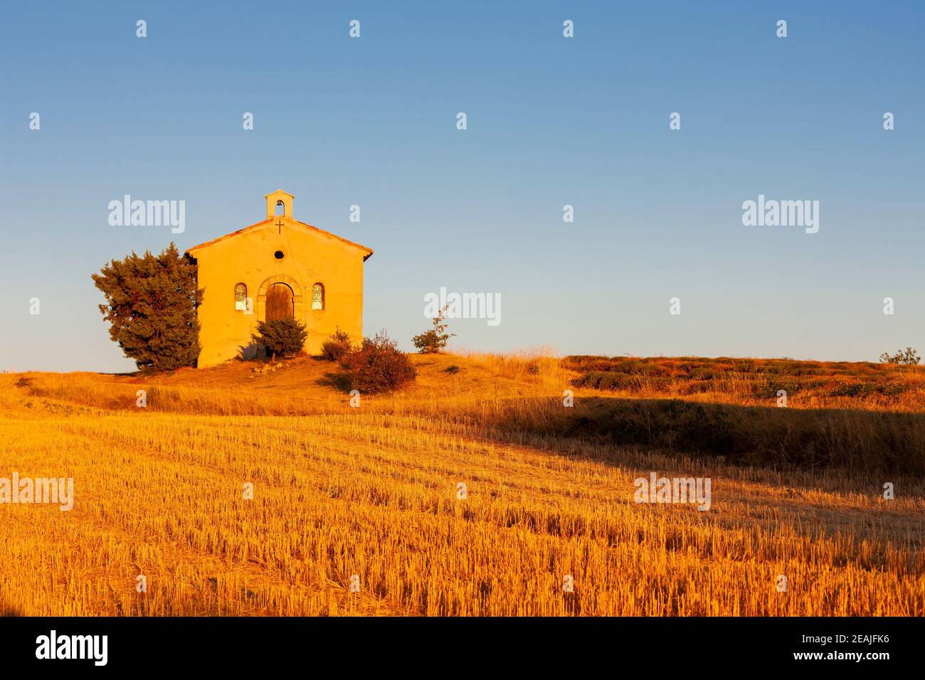 Kapelle mit Lavendel Feld, Plateau de Valensole, Provence, Frankreich Stockfoto