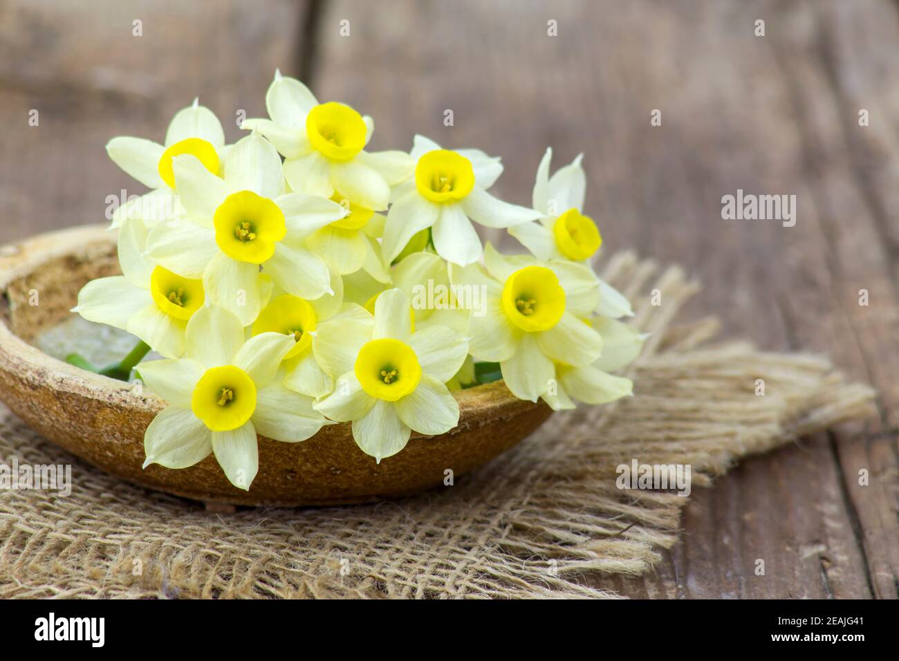 Bouquet von Narzissen Blumen Stockfoto