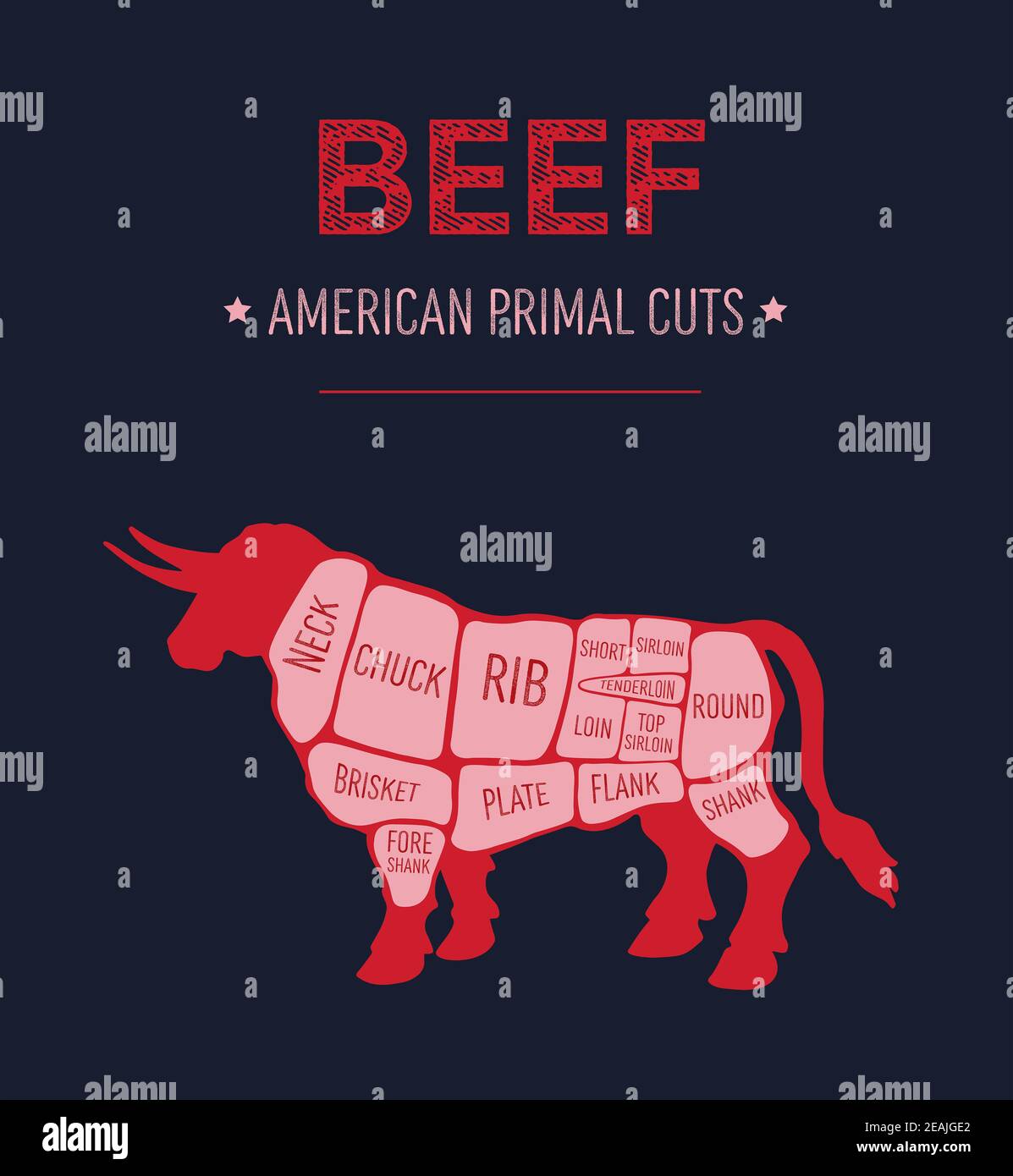 American Primal Rindfleisch Fleisch schneidet Diagramm Stockfoto