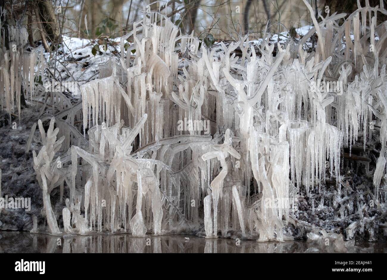 Eiszapfen bilden sich an der Seite einer Straße in der Nähe von Penshurst in Kent, da der Kälteeinbruch weiterhin einen großen Teil der Nation in den Griff nimmt. Bilddatum: Mittwoch, 10. Februar 2021. Stockfoto