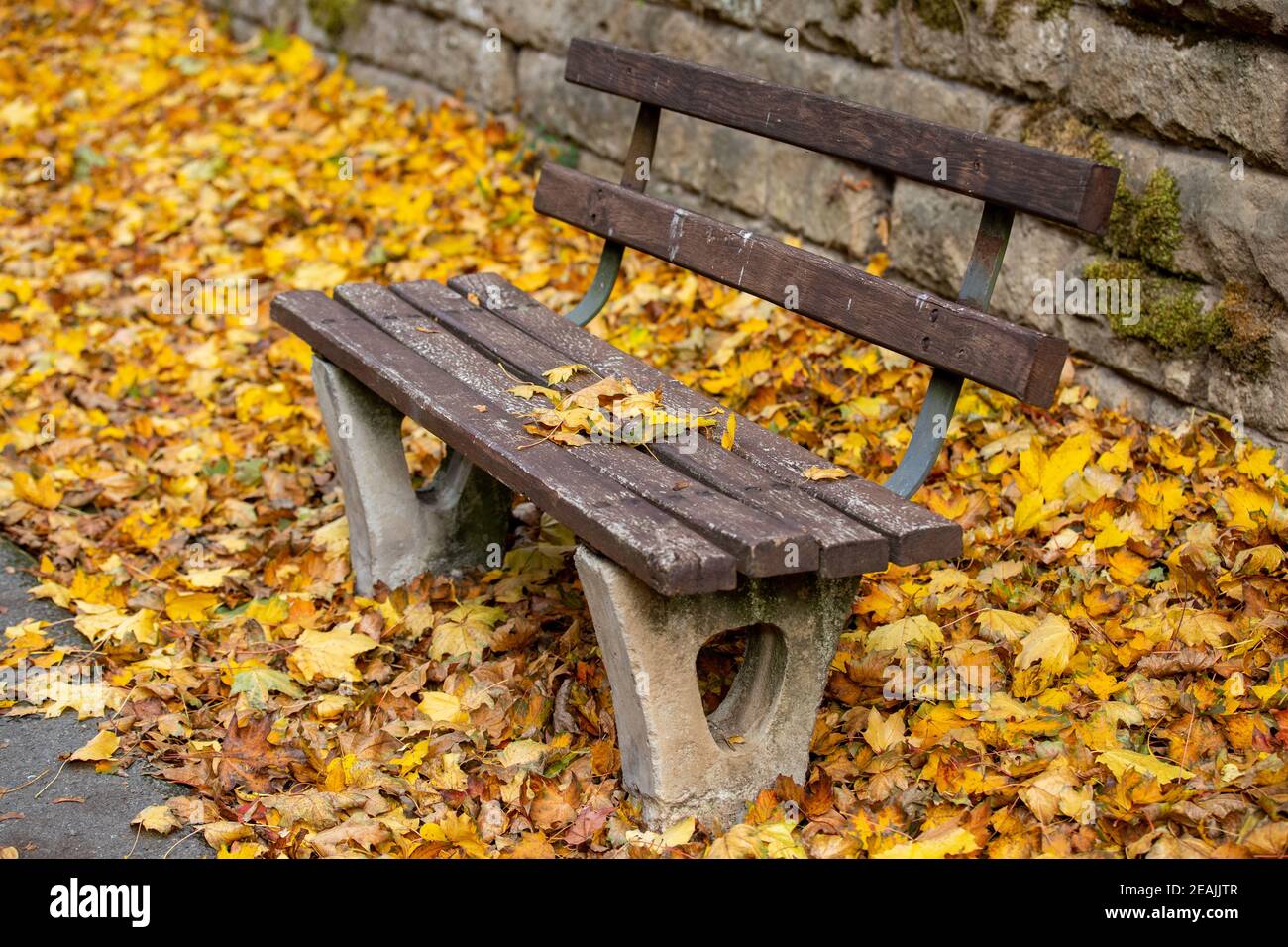 Holzbank umgeben von bunten Herbstblättern Stockfoto