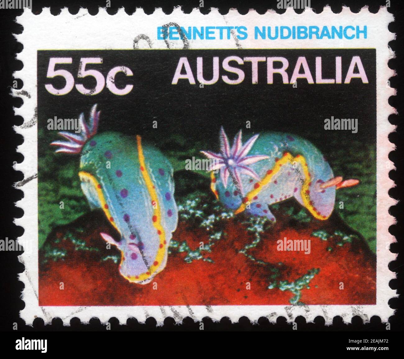 Stempel gedruckt in Australien zeigt Bennettâ €™s Nudibranch, Serie, um 1984 Stockfoto