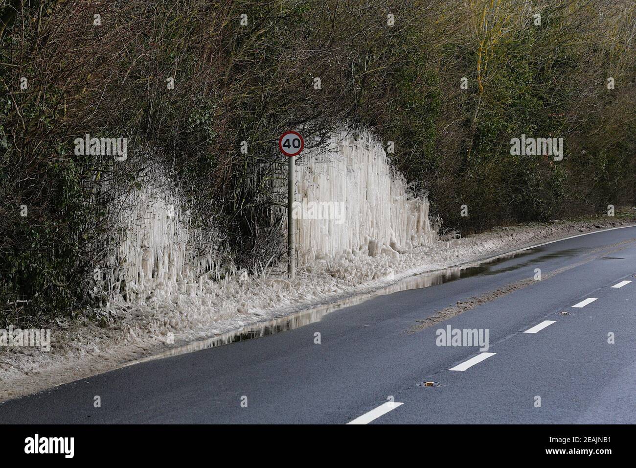 Ashford, Kent, Großbritannien. Februar 2021, 10. UK Wetter: Mitten in Storm Darcy bilden sich auf Hecken auf der A28 Ashford Road zwischen Bethersden und High Halden in Kent erstaunliche Straßeneiszapfen. Foto-Kredit: Paul Lawrenson/Alamy Live Nachrichten Stockfoto