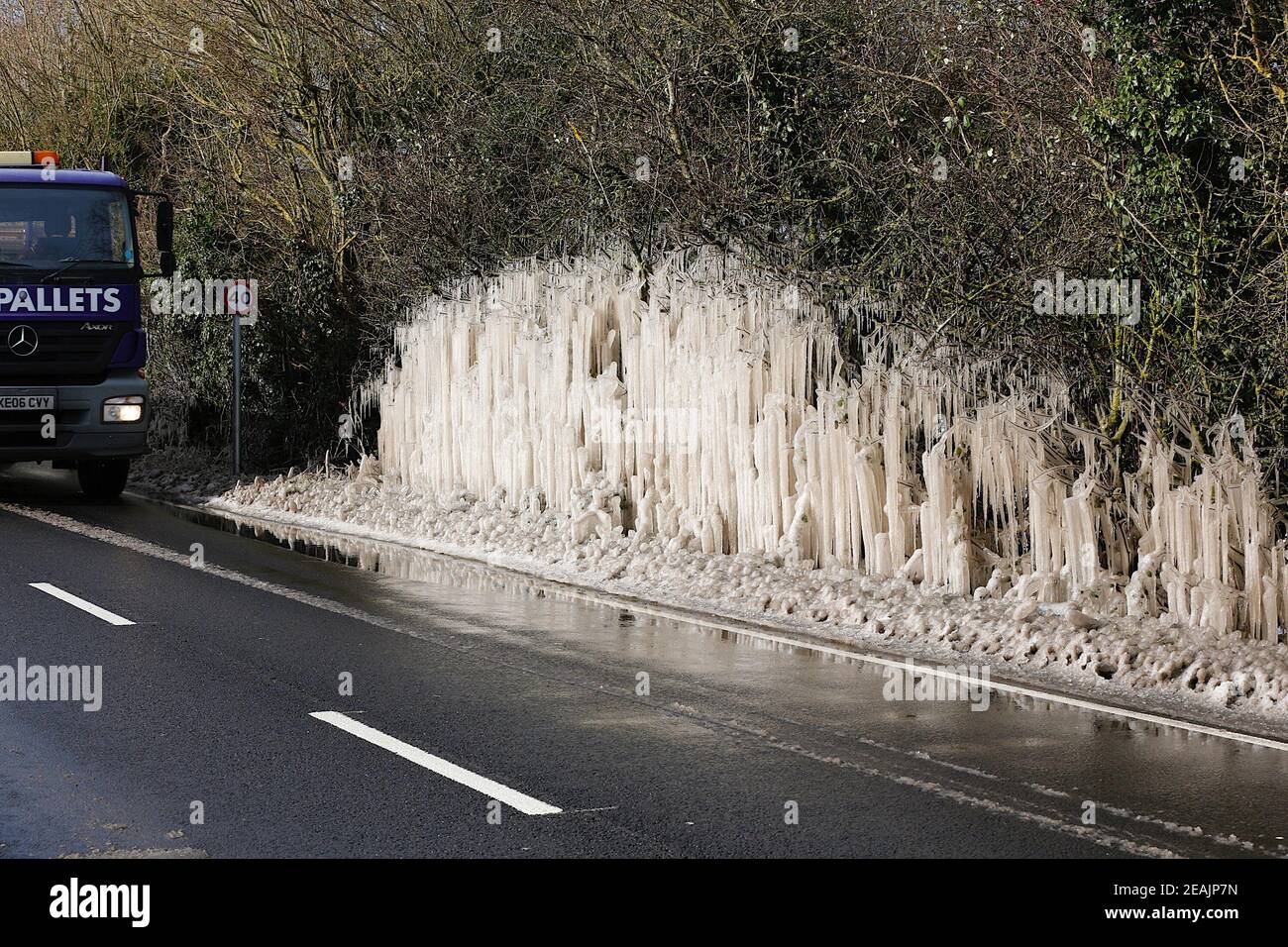 Ashford, Kent, Großbritannien. Februar 2021, 10. UK Wetter: Mitten in Storm Darcy bilden sich auf Hecken auf der A28 Ashford Road zwischen Bethersden und High Halden in Kent erstaunliche Straßeneiszapfen. Foto-Kredit: Paul Lawrenson/Alamy Live Nachrichten Stockfoto