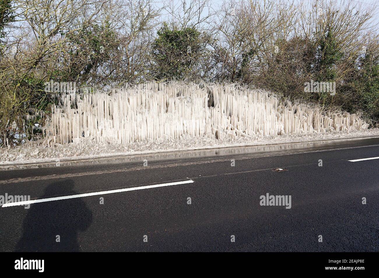 Ashford, Kent, Großbritannien. Februar 2021, 10. UK Wetter: Mitten in Storm Darcy bilden sich auf Hecken auf der A28 Ashford Road zwischen Bethersden und High Halden in Kent erstaunliche Straßeneiszapfen. Foto-Kredit: Paul Lawrenson/Alamy Live Nachrichten Stockfoto