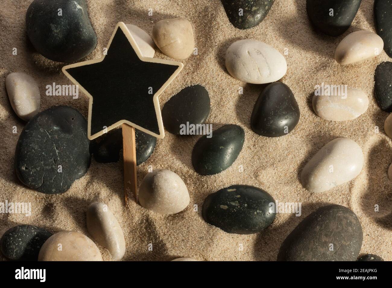 Nahaufnahme von Steinen und Sternen, die aus dem Sand ragen Im Sonnenlicht Stockfoto
