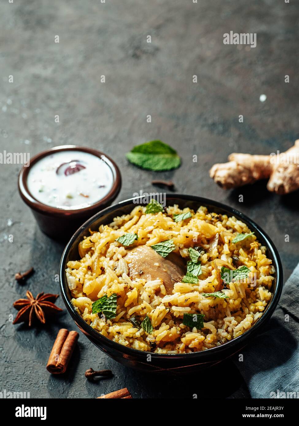 Pakistanische Huhn Biryani Reis, kopieren Raum Stockfoto