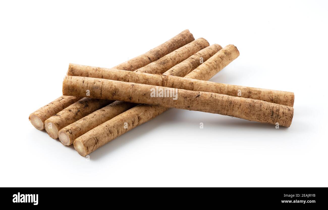 Klette auf weißem Hintergrund Stockfoto