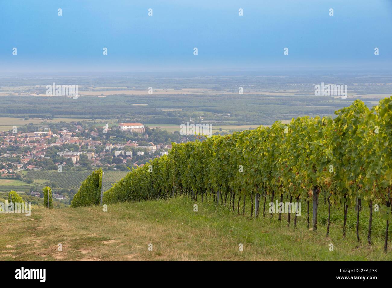 Siklos Schloss in Villány Region mit Weinbergen, Südungarn Stockfoto