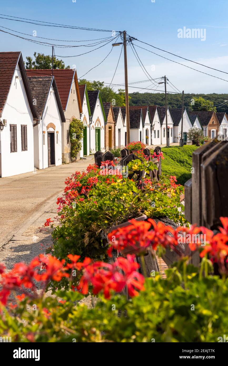 Weinkeller in Villanykovesd, Villany, Ungarn Stockfoto