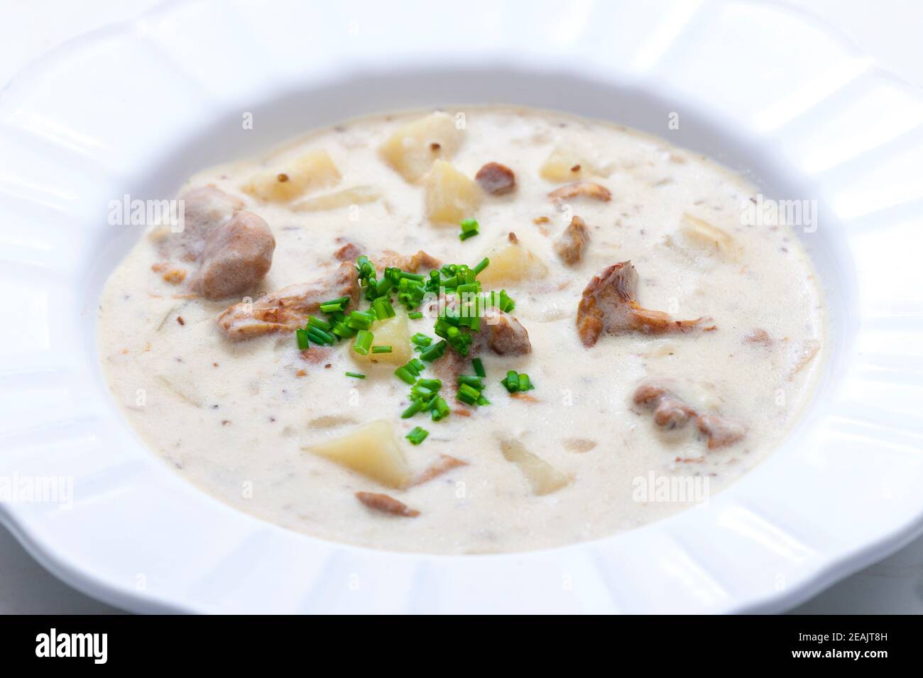 Cremige Kartoffelsuppe mit Pilzen Stockfoto