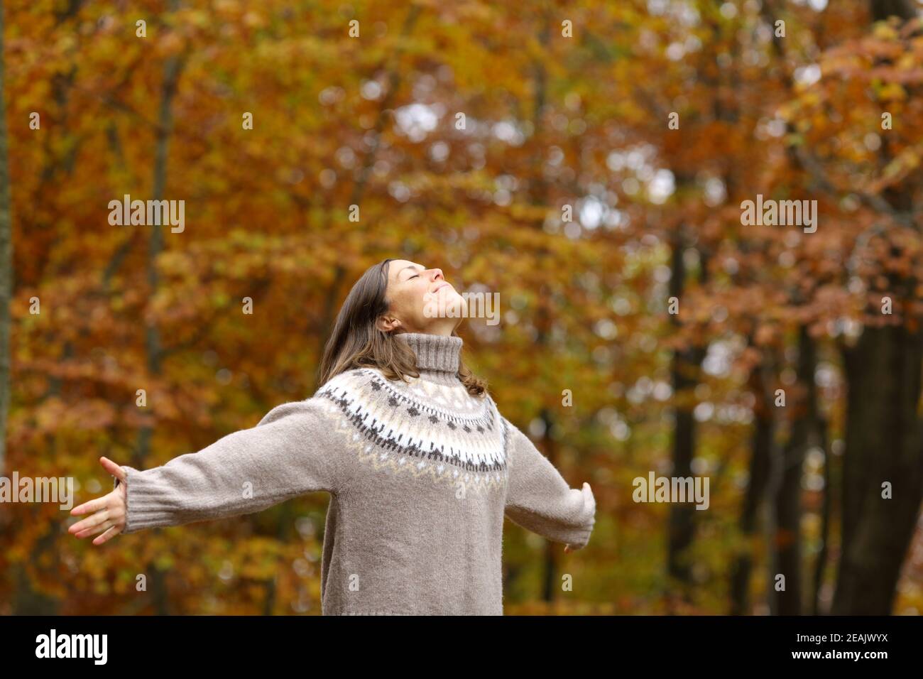 Frau mittleren Alters streckt die Arme in einem Wald im Herbst Stockfoto