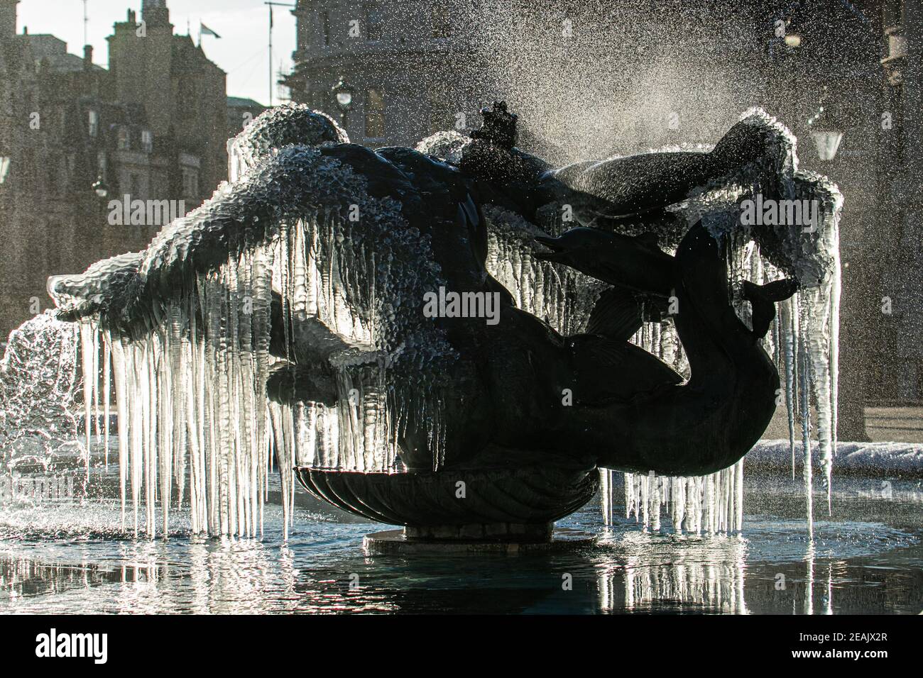 TRAFALGAR SQUARE LONDON, GROSSBRITANNIEN 10. FEBRUAR 2021. Eiszapfen hängen an den Skulpturen der Meerjungfrau an einem hellen, knusprigen Morgen an den Springbrunnen am Trafalgar Square, die gefroren sind, als London Temperaturen unter Null erlebt, nachdem starker Schnee eisige Temperaturen in vielen Teilen Großbritanniens und starke Winde in den südwestlichen Küstenregionen bringt. Credit amer ghazzal/Alamy Live News Stockfoto