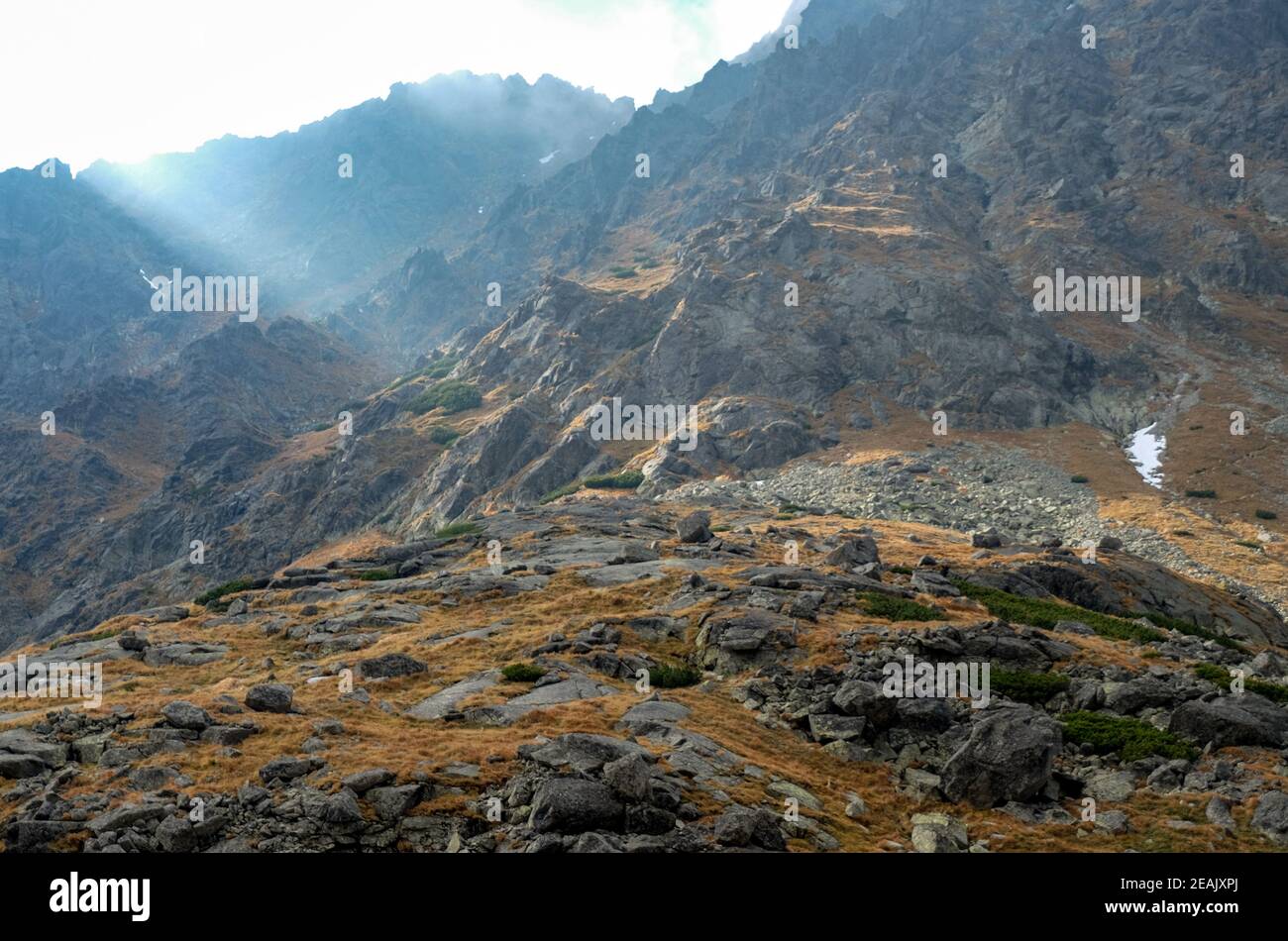 Großes kaltes Tal in der Hohen Tatra, Slowakei. Stockfoto