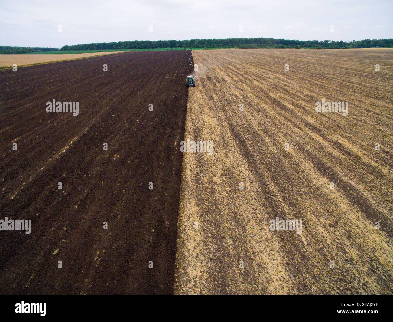 Ernte auf dem Feld. Luftaufnahme. Landanbau mit einem Traktor Stockfoto