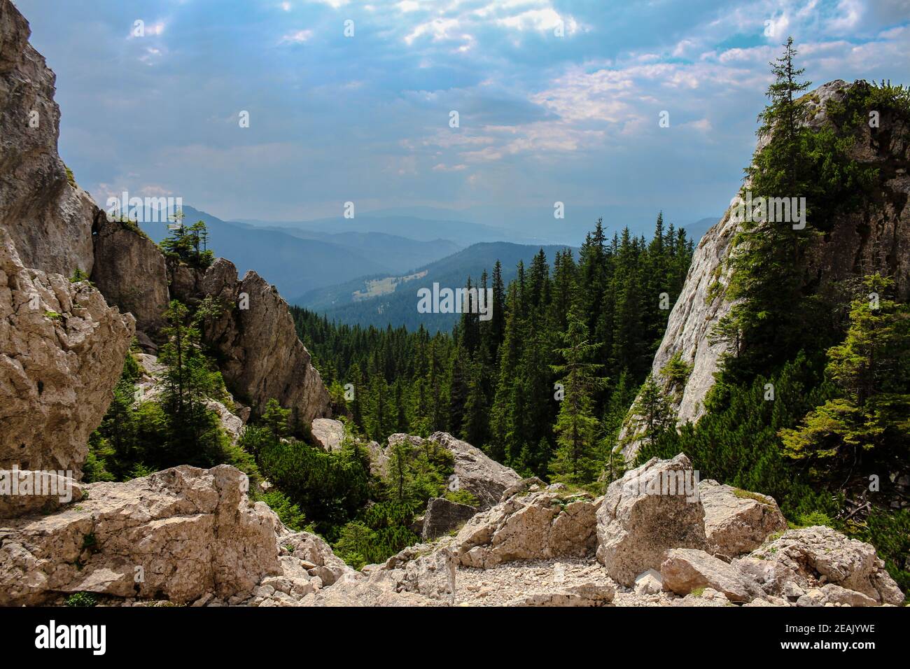 Berglandschaft mit Wald und Felsen und Wolken Stockfoto