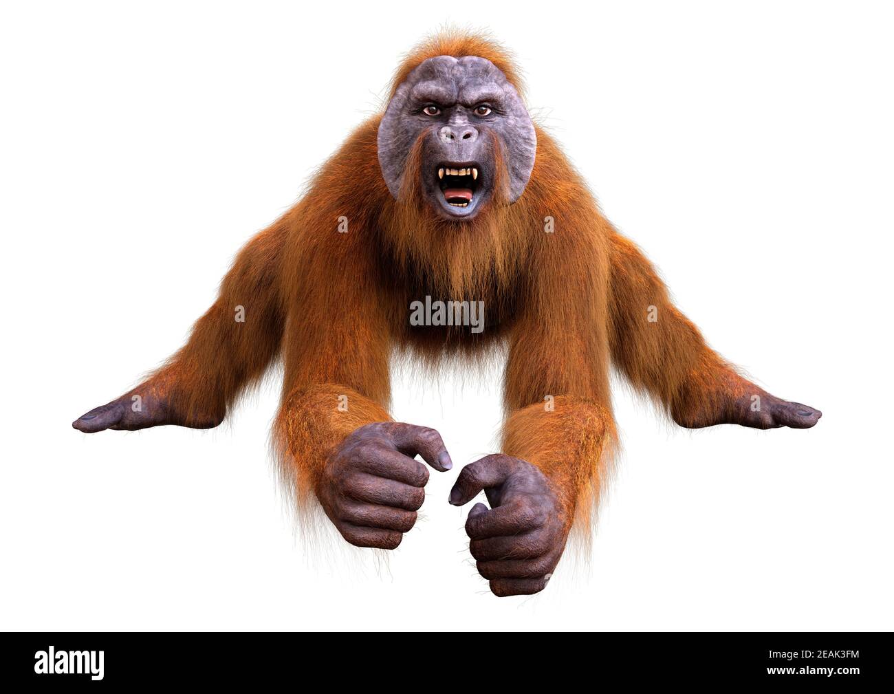 3D Orang-Utan auf Weiß gerendert Stockfoto