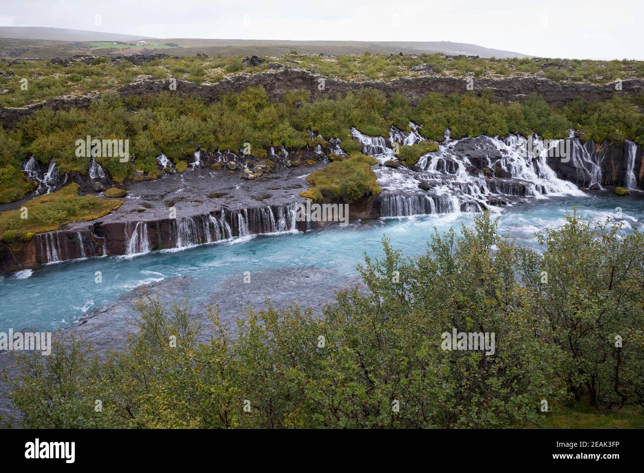 Hraunfossar, 'Lavawasserfälle', Wasserfälle in den Fluss Hvítá in der Nähe der Orte Húsafell und Reykholt im Westen Islands, auf einer Länge von ca. 7 Stockfoto