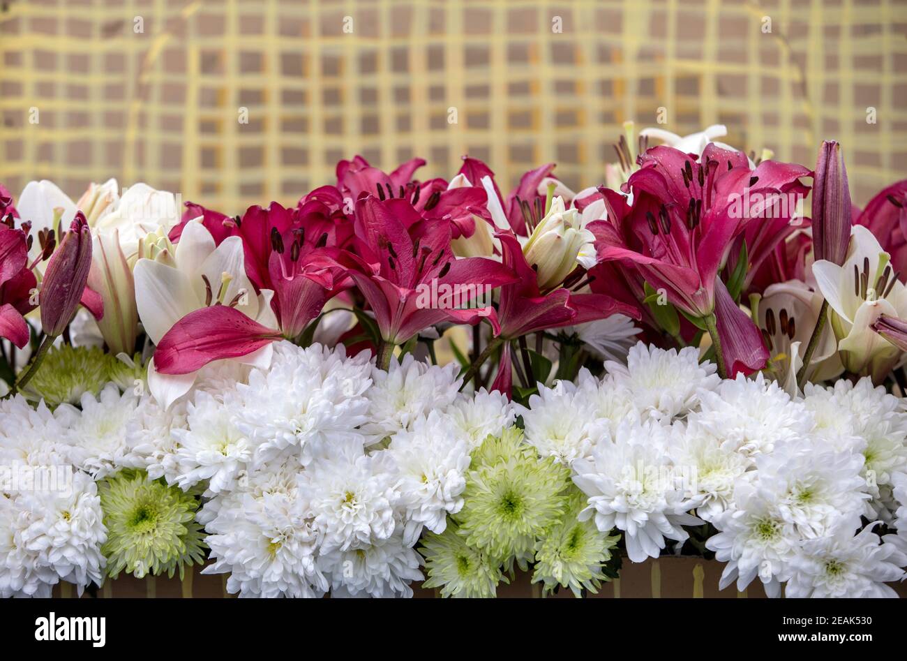 Schönheit floristische Dekoration mit weißen Gerbera und rote Lilie Blumen Stockfoto