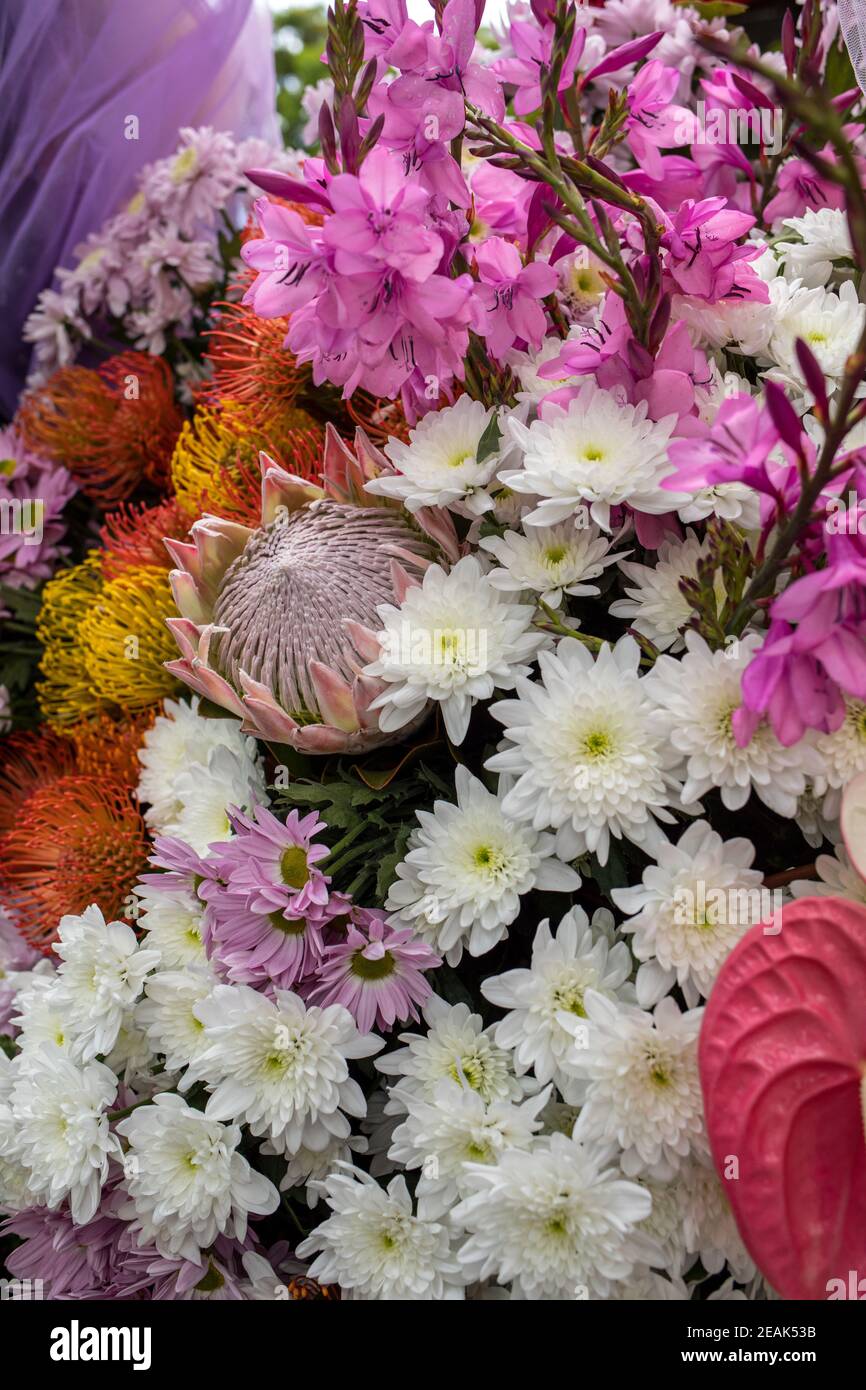Schönheit floristische Dekoration mit bunten tropischen Blumen Stockfoto