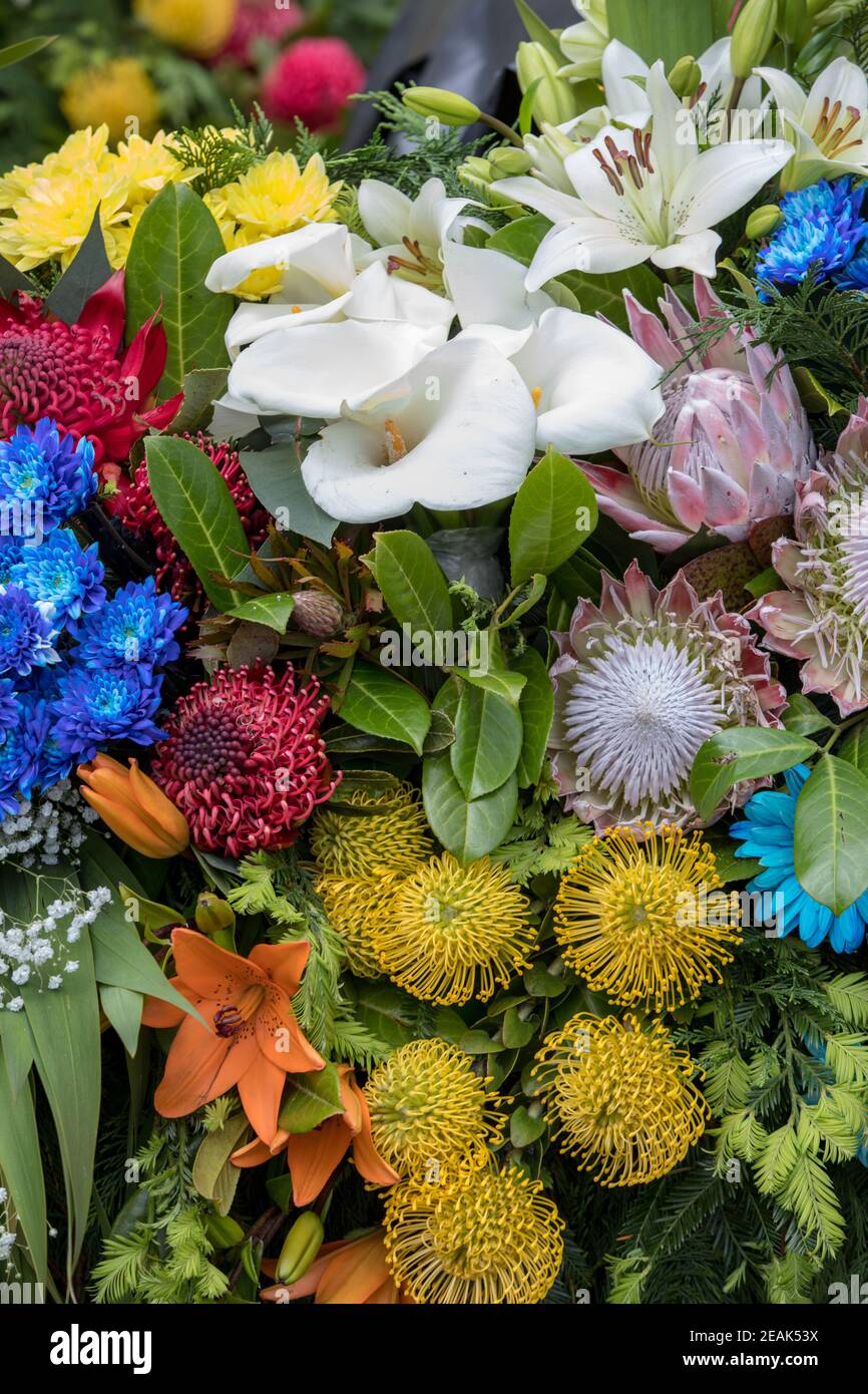 Schönheit floristische Dekoration mit bunten tropischen Blumen Stockfoto