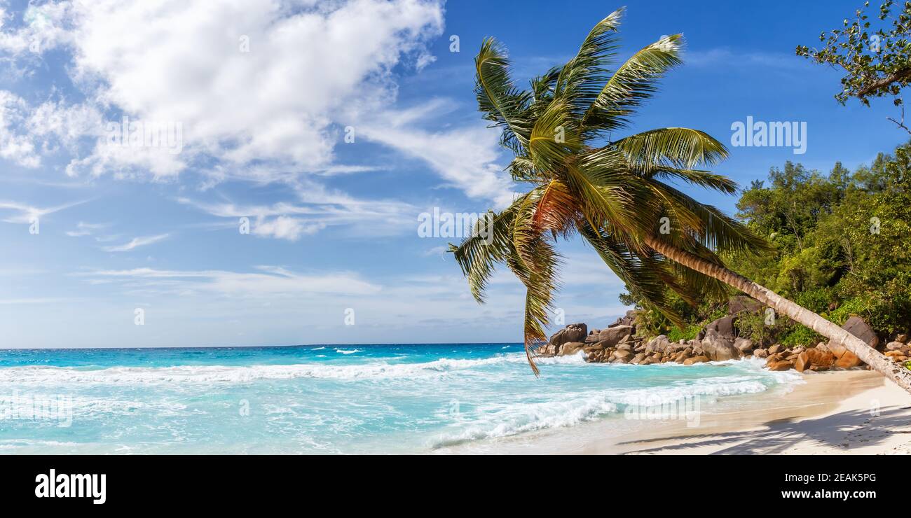 Seychellen Anse Georgette Strand Reise Landschaft Praslin Insel Palmenpanorama Blick auf Urlaub Meer Stockfoto