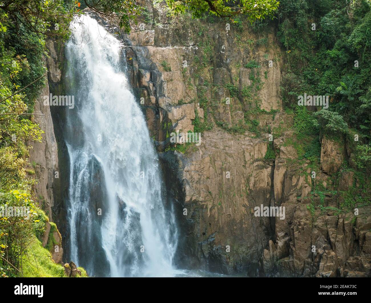 Bild des Wasserfalls aus der Mitte des Waldes im Khao Yai Nationalpark, Thailand, ein Weltkulturerbe Stockfoto