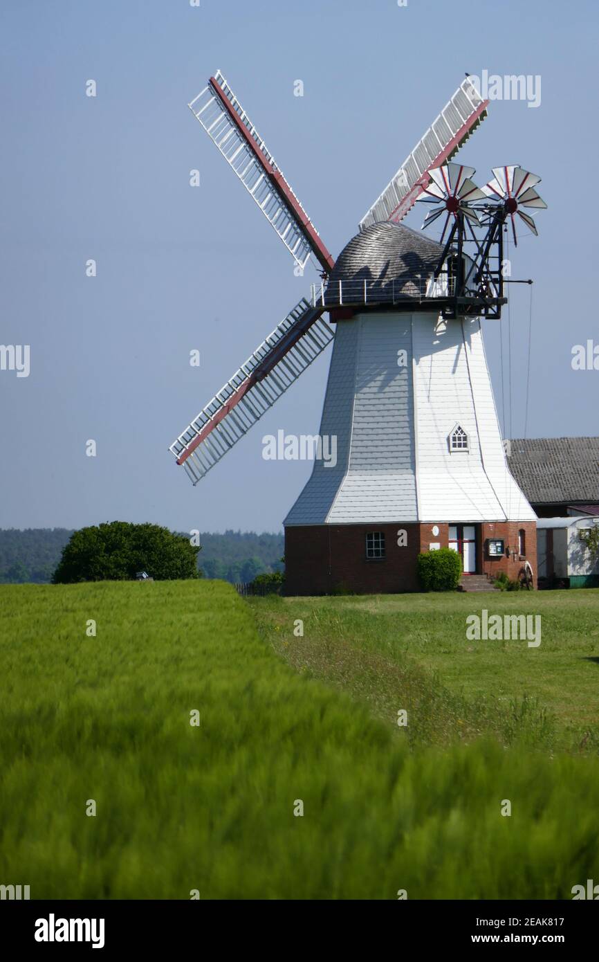 Windmühle in Eyendorf Stockfoto