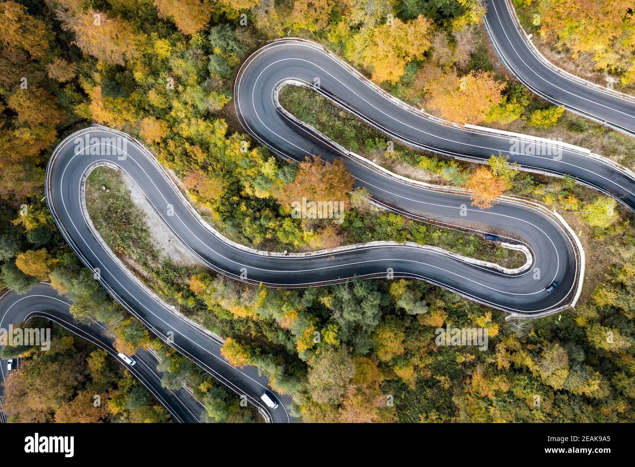 Luftaufnahme der Straße im schönen Herbst Wald bei Sonnenuntergang. Stockfoto