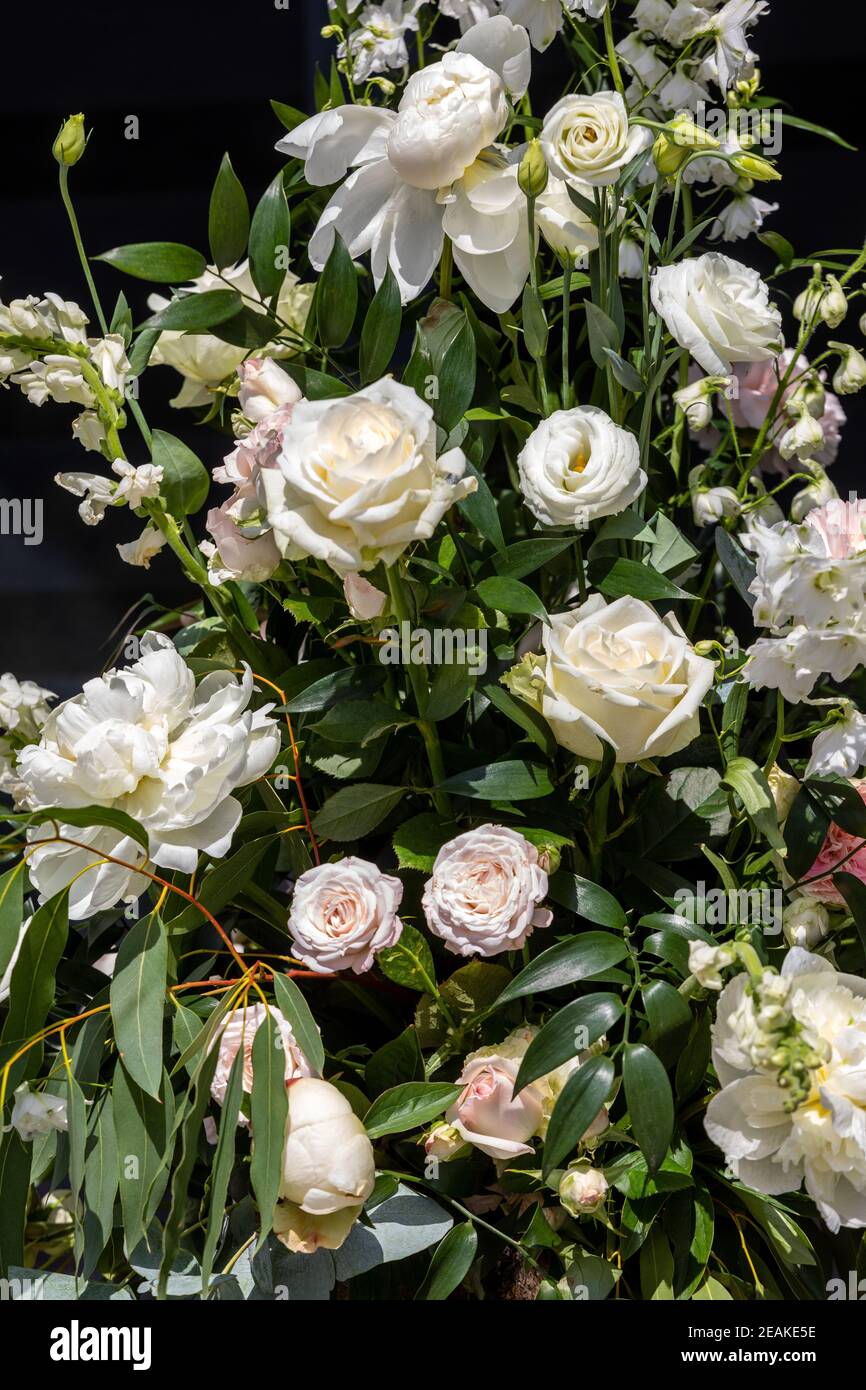 Beeindruckendes floristisches Bouquet von weißen Rosen und Delphinium - grün Drehen Stockfoto