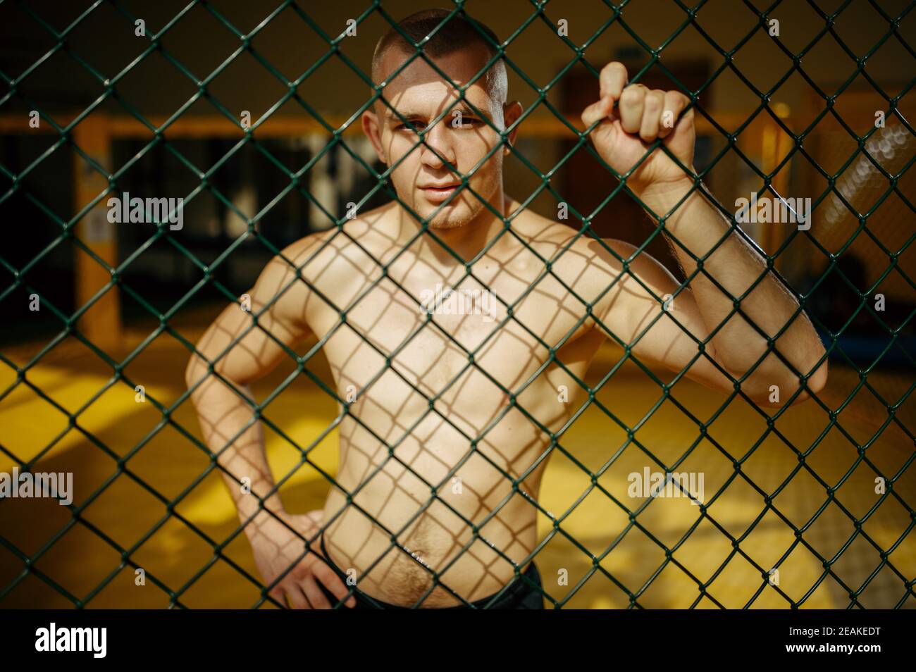 Männlicher MMA-Kämpfer, der am Gitter in einem Käfig steht Stockfoto