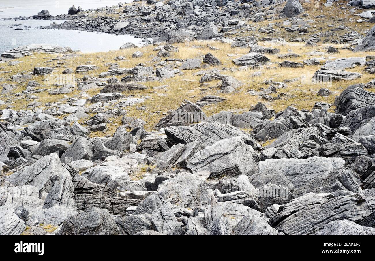 Grau strukturierte Felsen zwischen gelbem Gras. Stockfoto