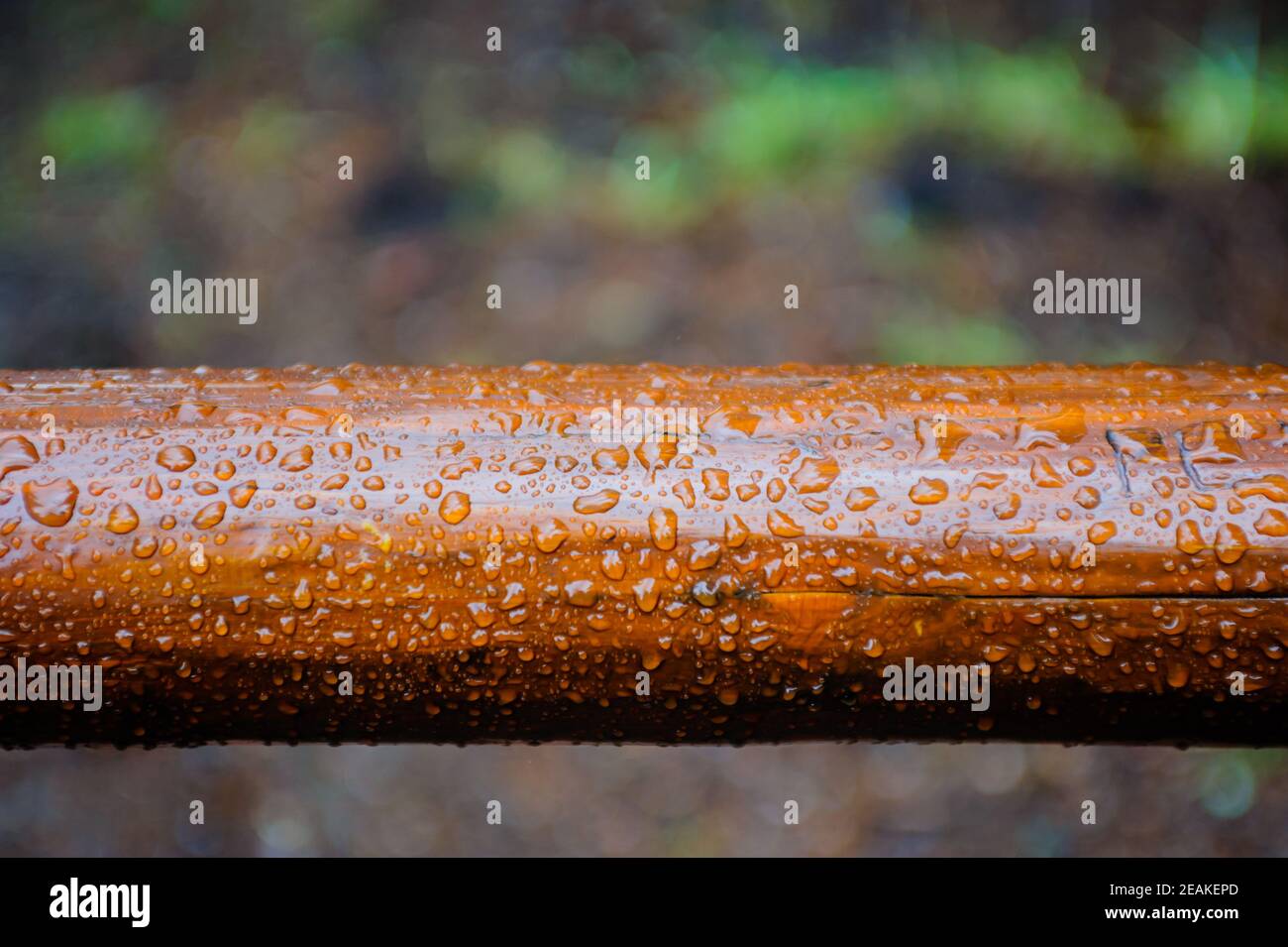 Detail von Wassertröpfchen auf poliertem braunem Holz. Stockfoto