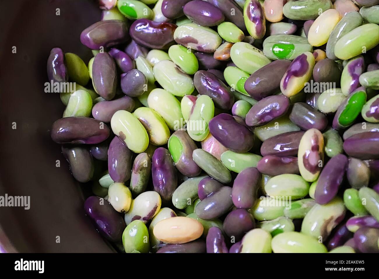 Ein Hintergrund von grünen und lila Bohnen in einem grauen Sieb Stockfoto