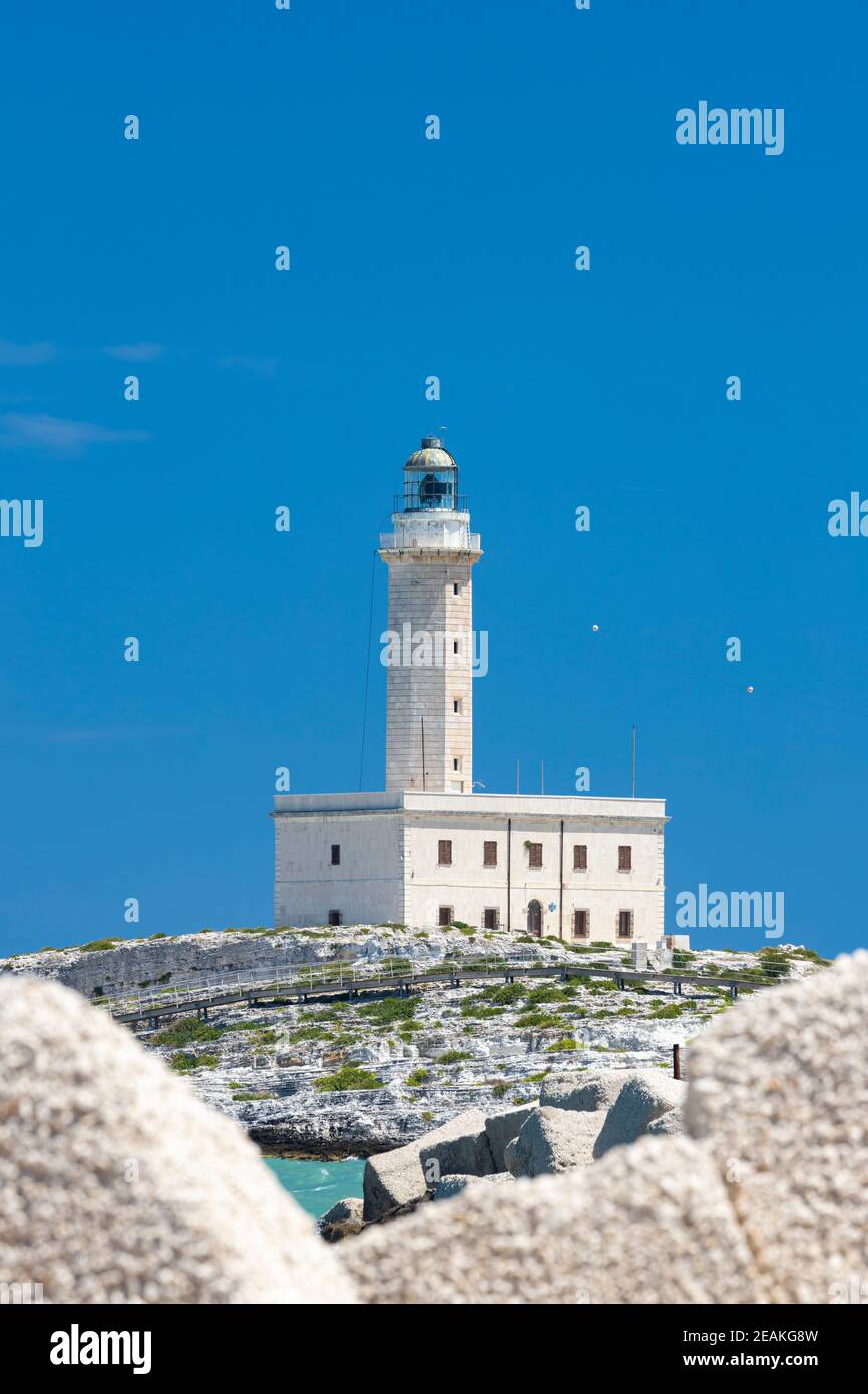 Leuchtturm in Vieste, Region Apulien, Italien Stockfoto