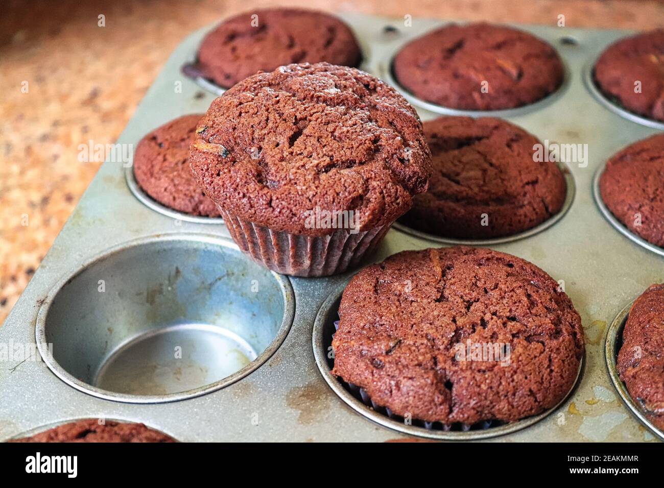 Ein Schokoladen-Zucchini-Muffin aus einem Tablett gezogen Stockfoto