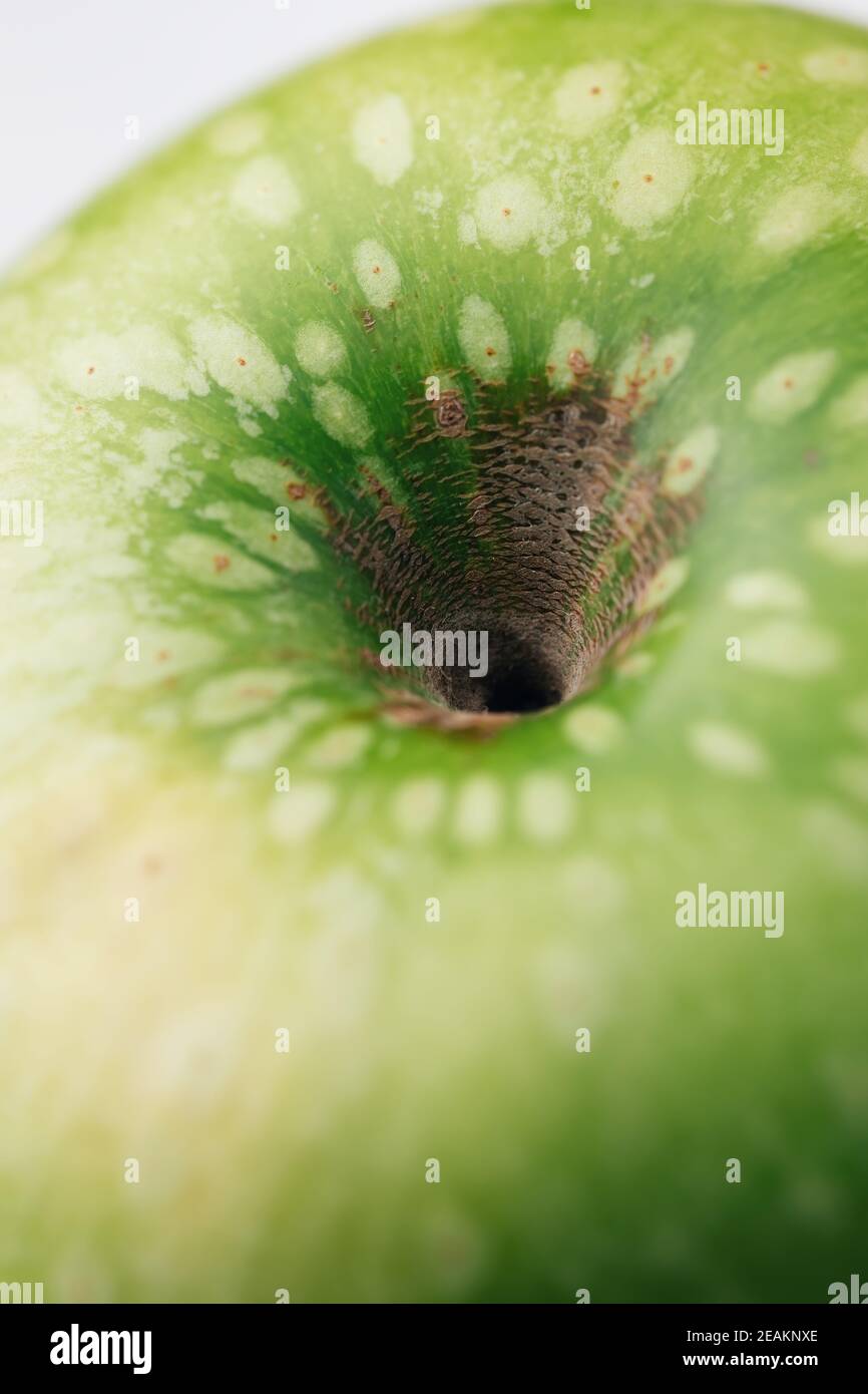Grüner Oma smith Apfel mit weißen Punkten auf der Schale. Makro, selektiver Fokus Stockfoto