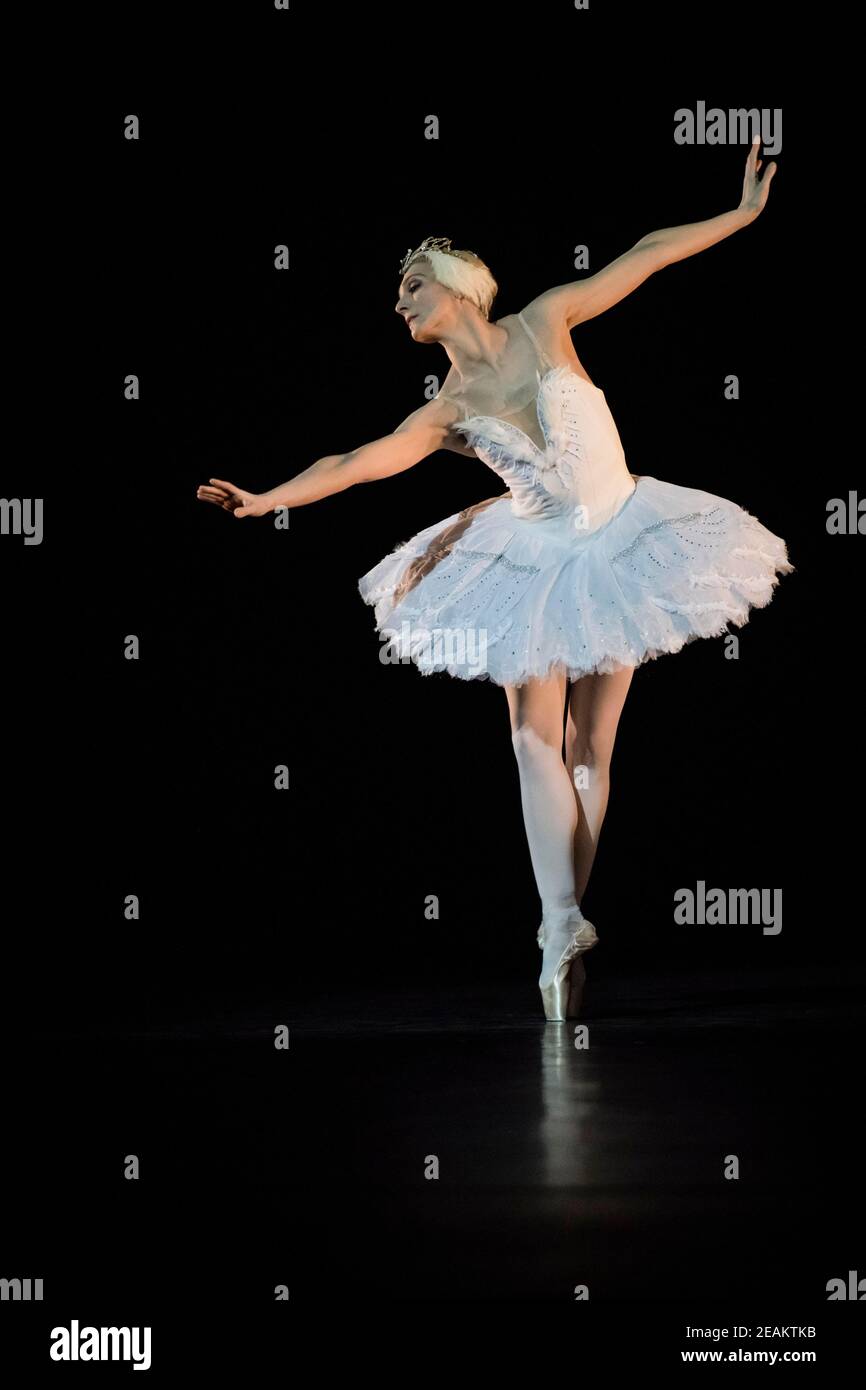 Zenaida Yanowsky peformt den sterbenden Schwan als Teil der Probenahme in Sadler's Wells, London. Stockfoto