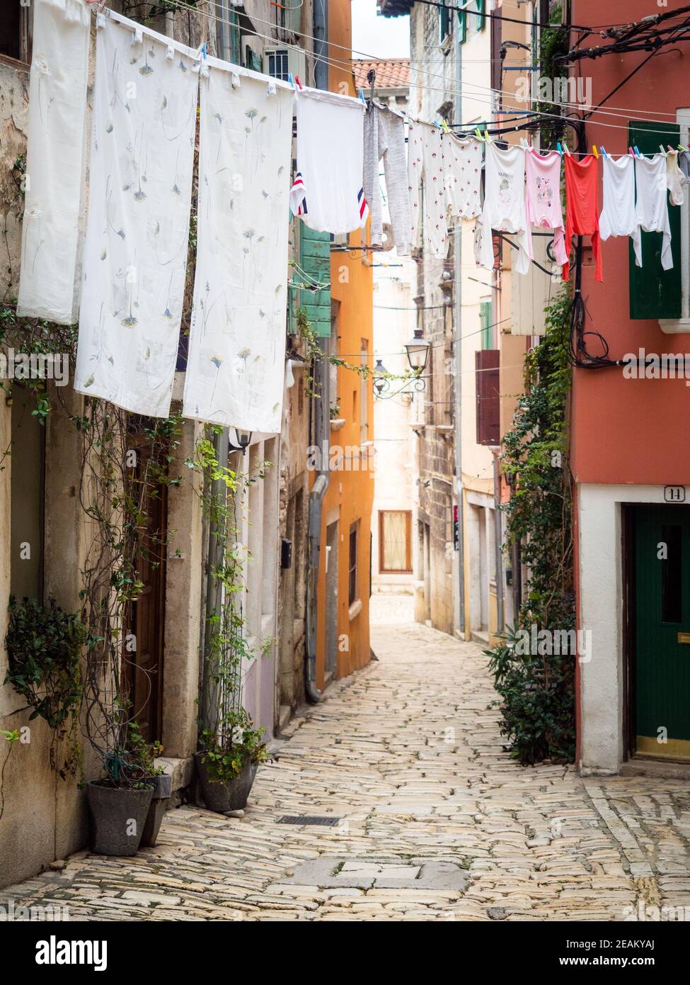 Wäschestücke am Draht in Rovinj Kroatien Stockfoto