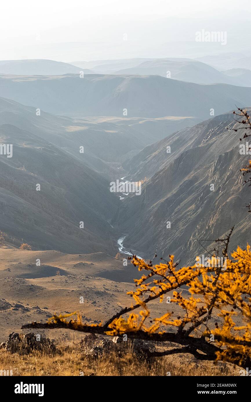 Die altai-Berge. Landschaft der Natur auf dem Altai-Gebirge und in den Schluchten zwischen den Bergen. Stockfoto