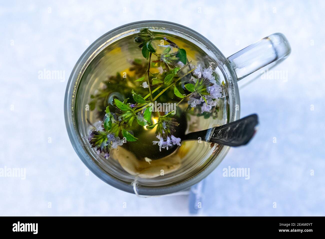 Durchsichtiger Becher mit Tee. Tee im Beutel zubereiten. Kräutertee zubereiten. Kräutertee. Stockfoto