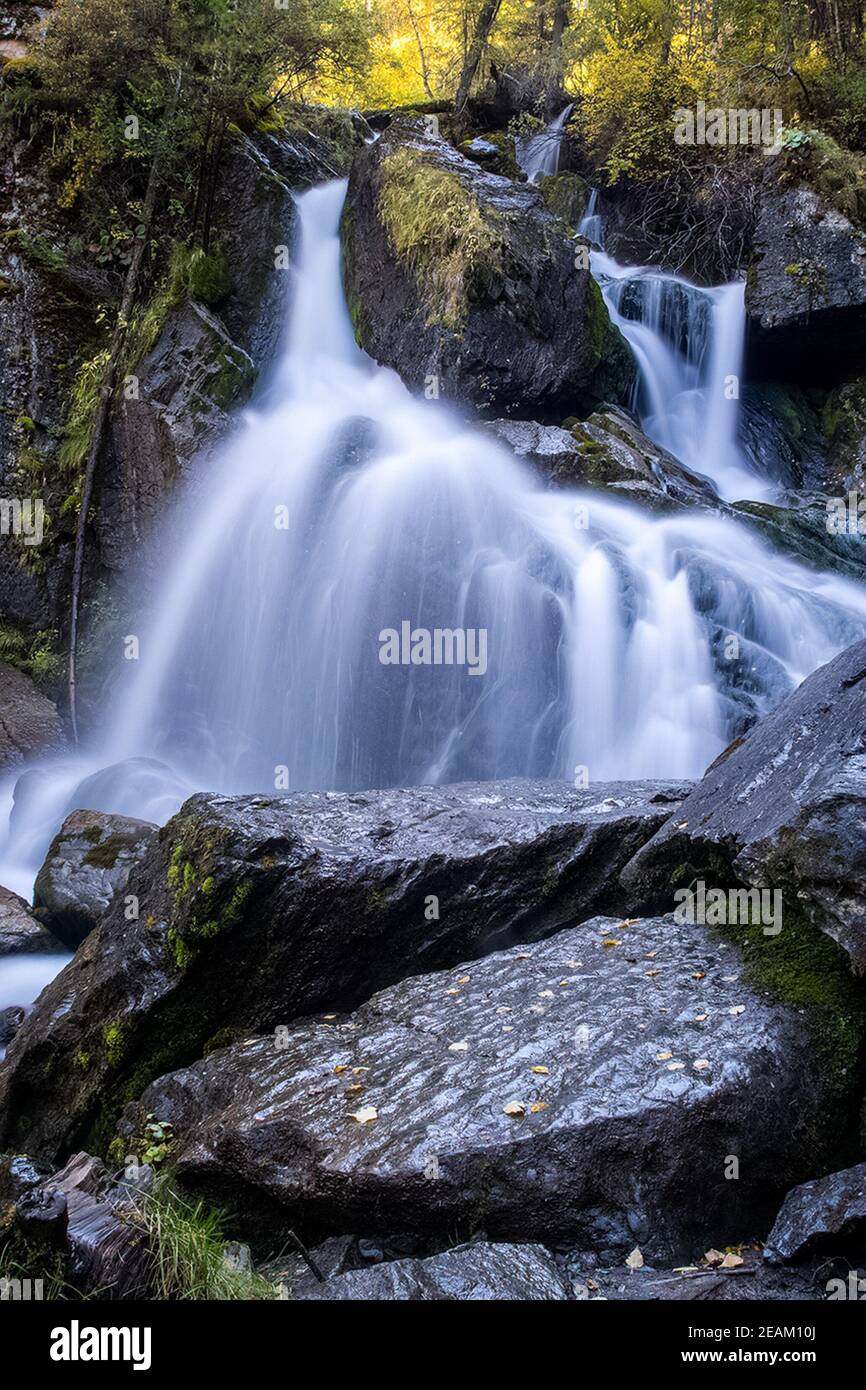 Kleiner Wasserfall auf einem Gebirgsfluss im Altai. Die Altai Mountain Rivers. Stockfoto
