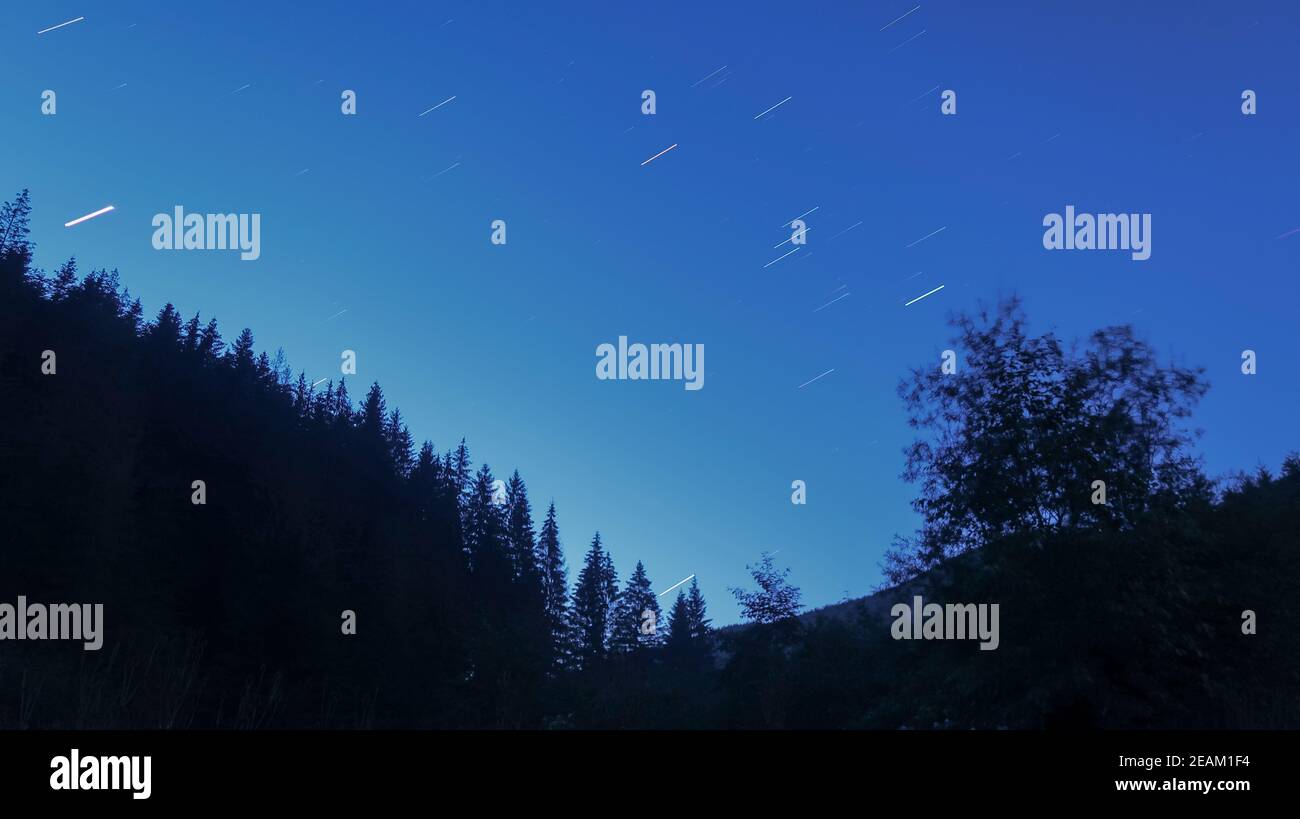 Nachthimmel mit Sternen und Silhouette hinterleuchteten Bäumen und Wald. Stars Trails bei Nacht Stockfoto